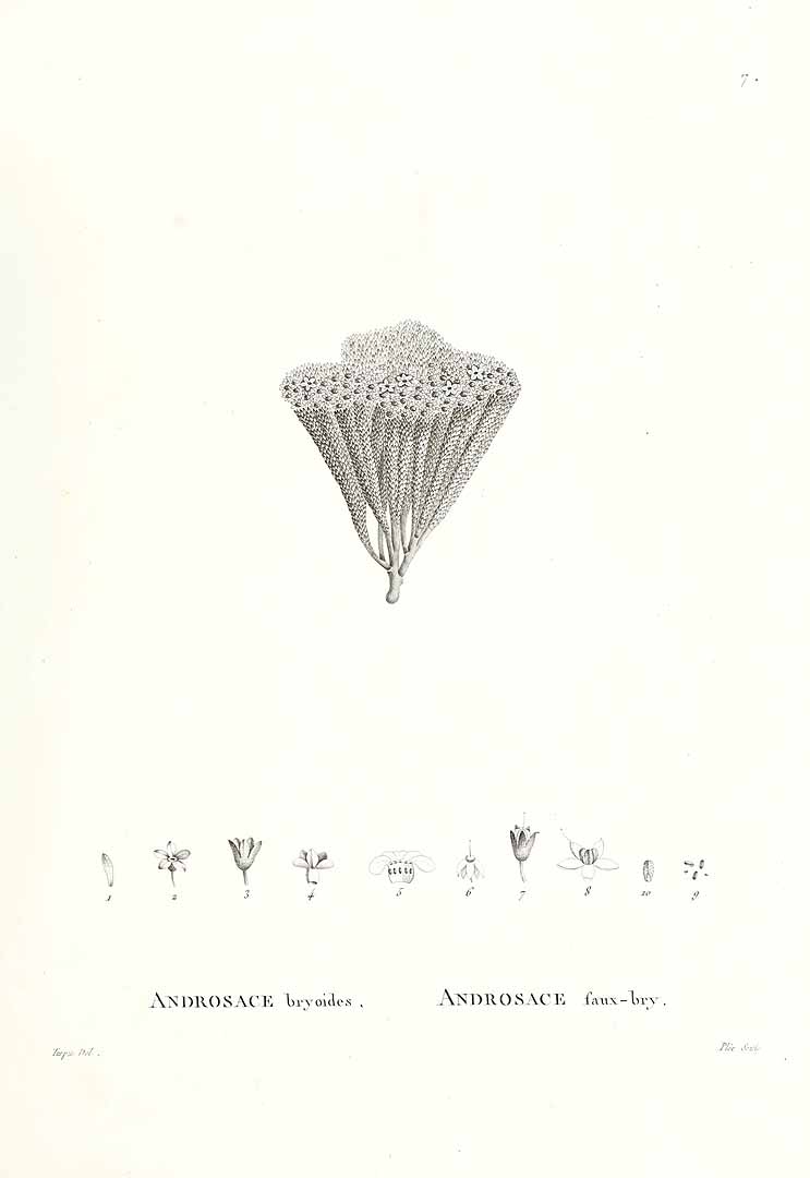 no HD illustration available (3)
