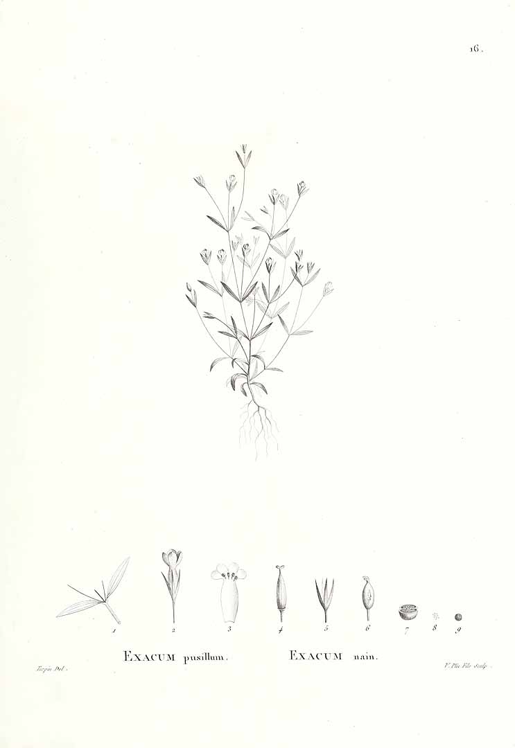 no HD illustration available (3)