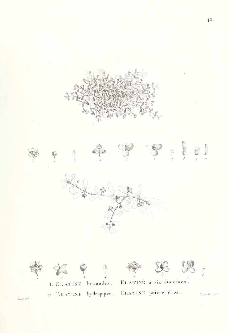 no HD illustration available (3)
