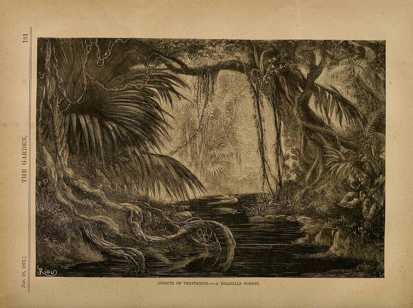no HD illustration available (m2)