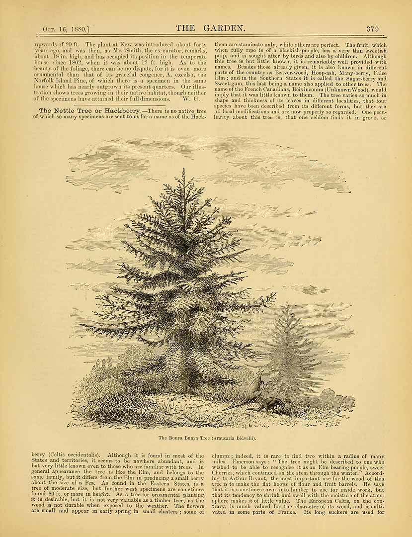 no HD illustration available (3)