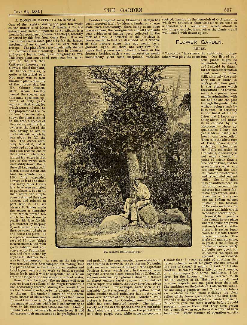 no HD illustration available (3)