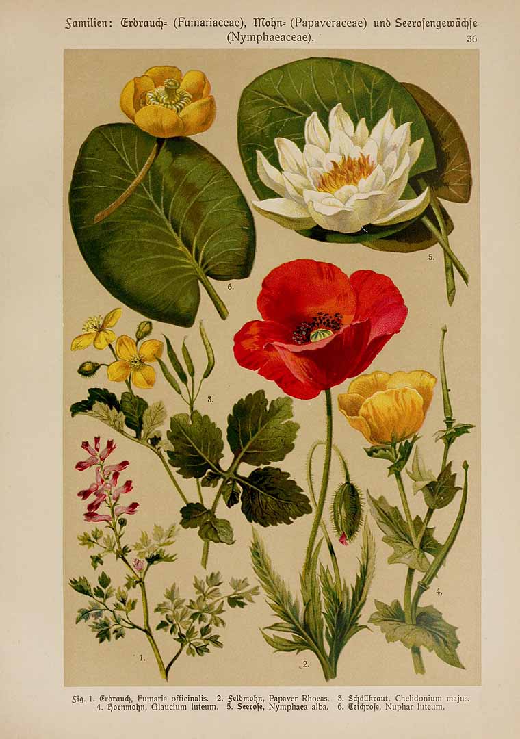 no HD illustration available (3)