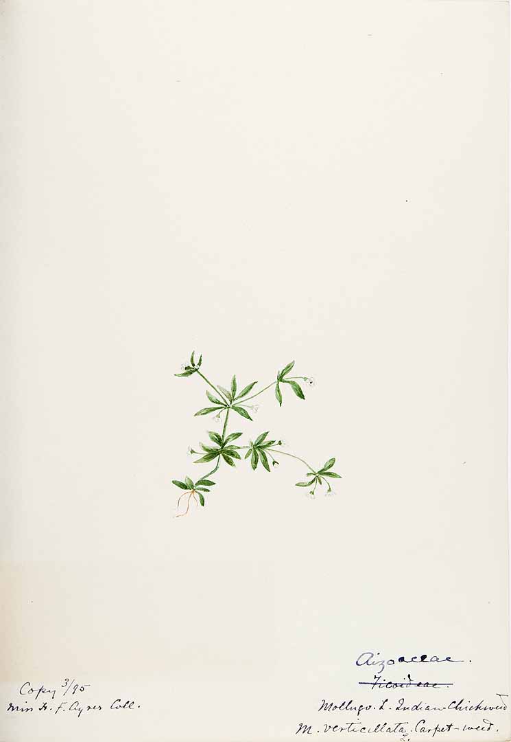 no HD illustration available (3)