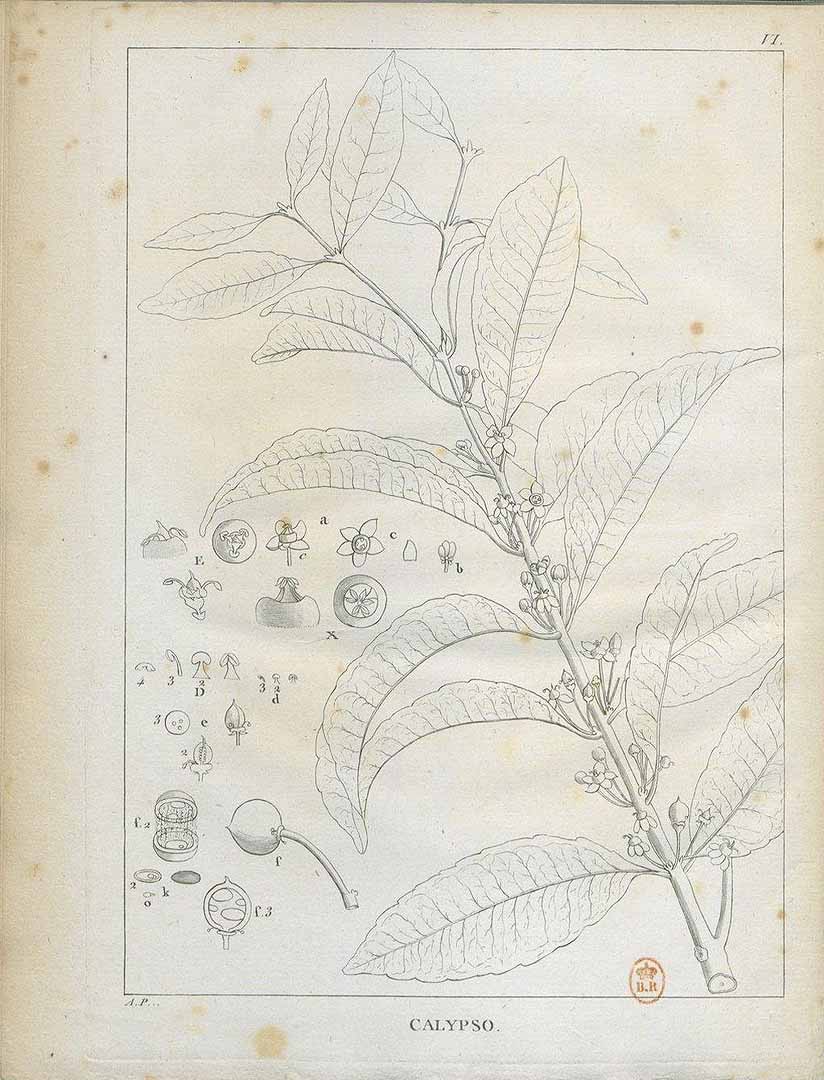no HD illustration available (3)