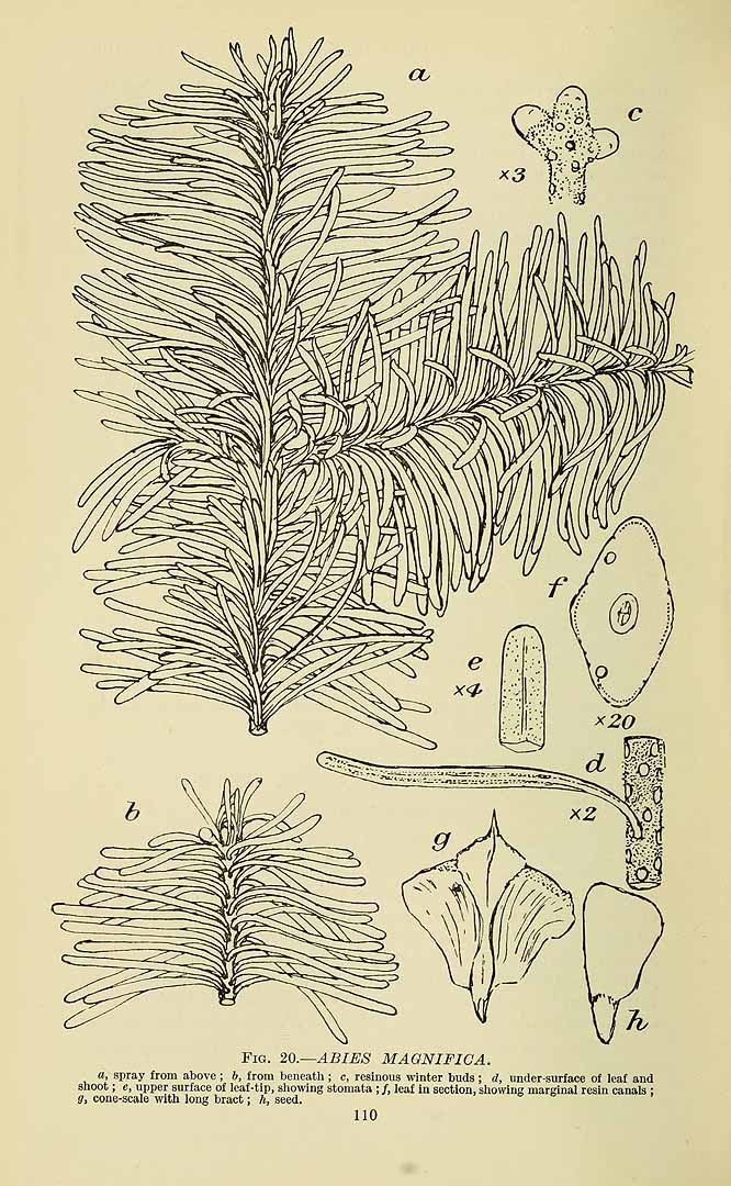 no HD illustration available (3)