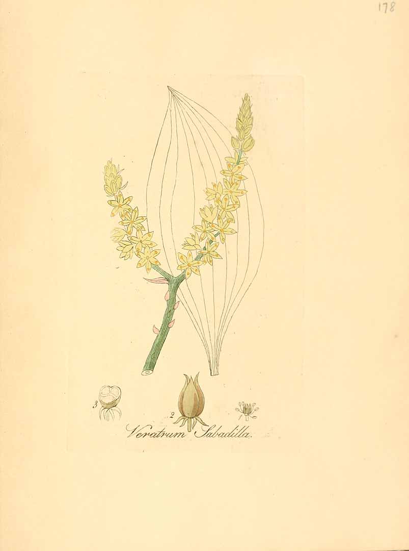 no HD illustration available (3)