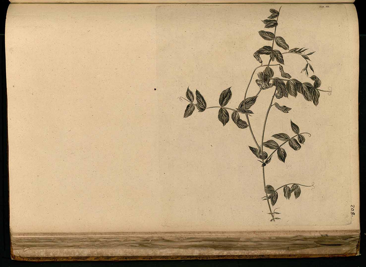no HD illustration available (3)