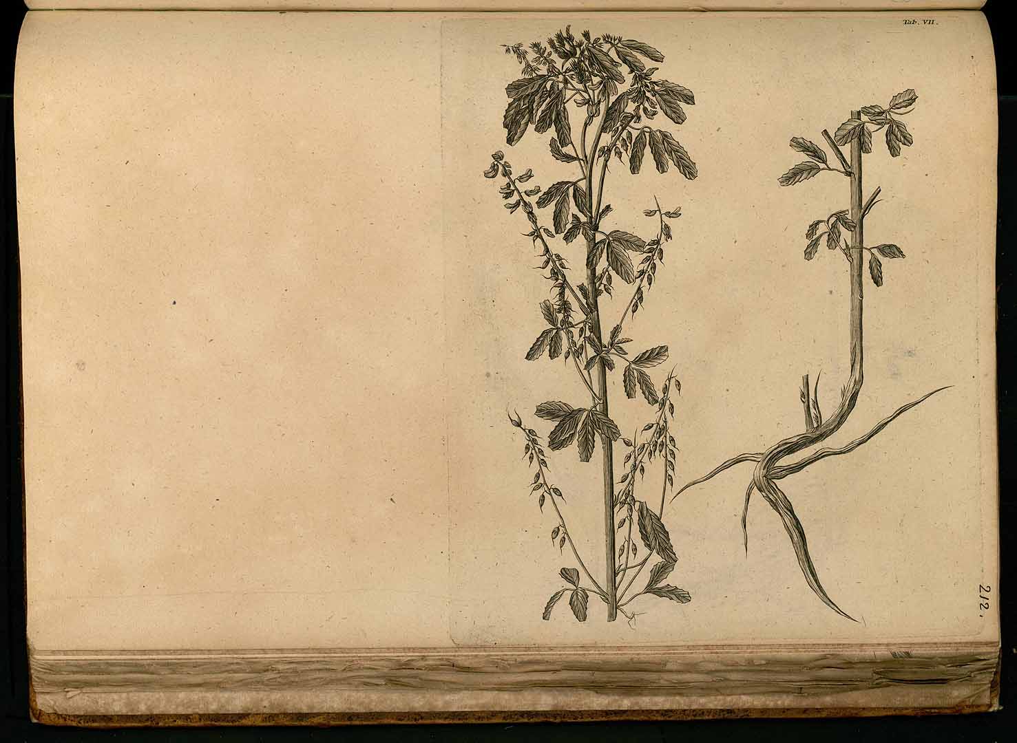 no HD illustration available (3)