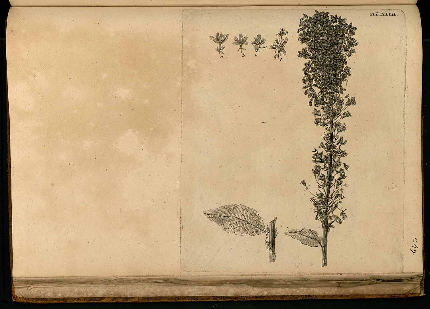 no HD illustration available (3)