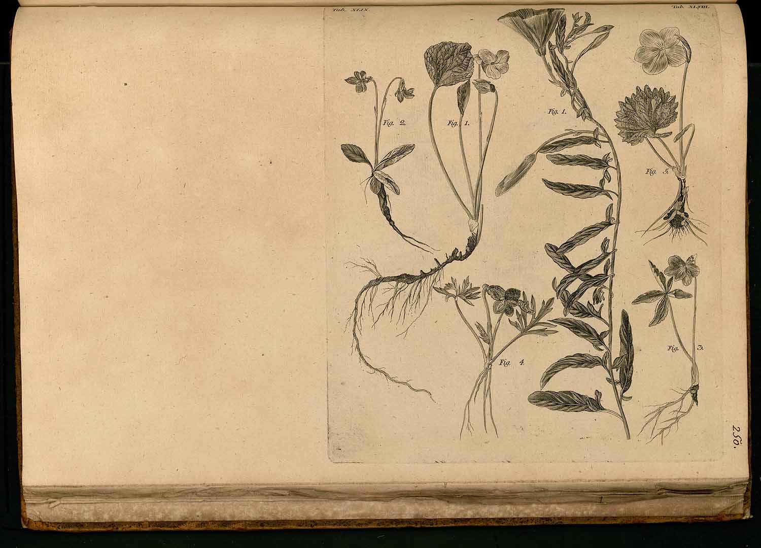 no HD illustration available (3)