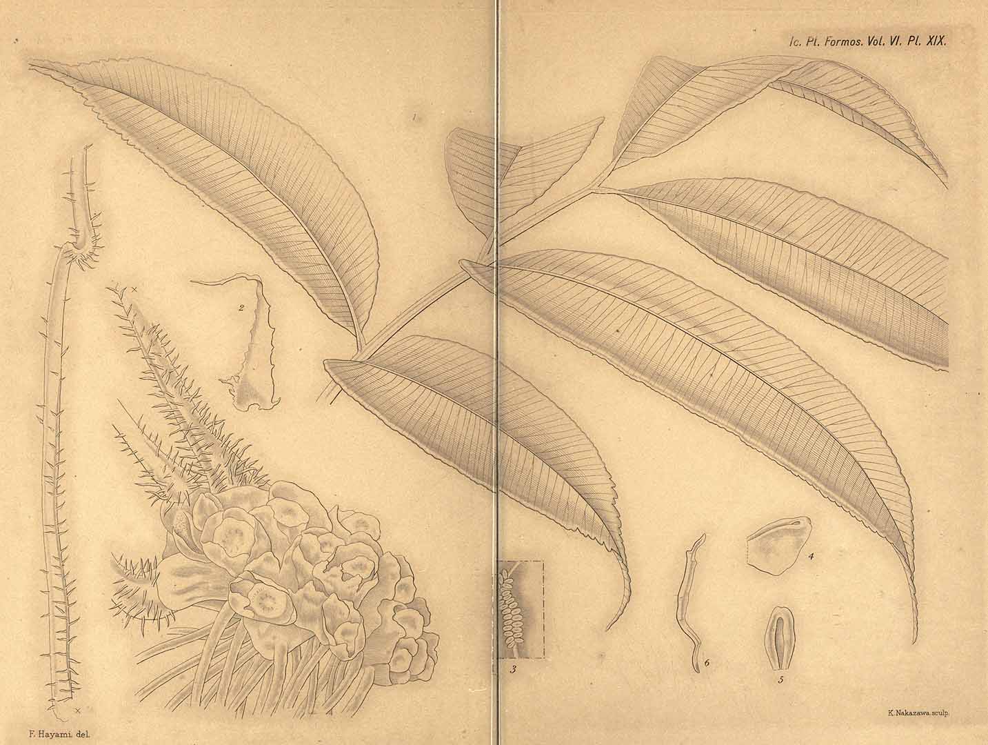 no HD illustration available (3)