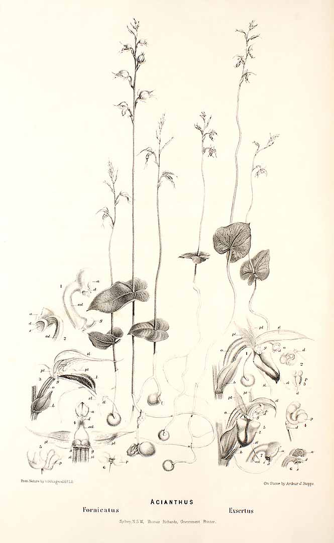 no HD illustration available (3)