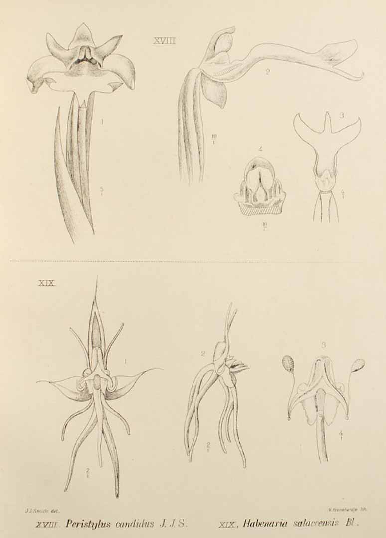 no HD illustration available (3)
