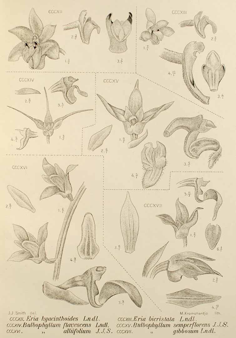 no HD illustration available (3)