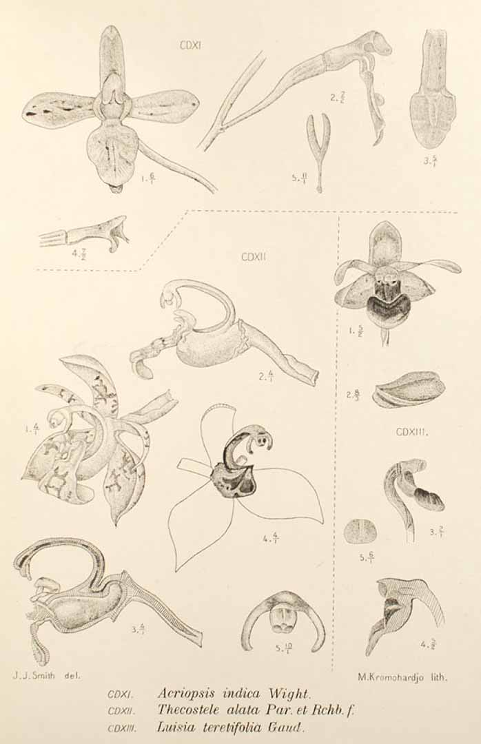 no HD illustration available (3)