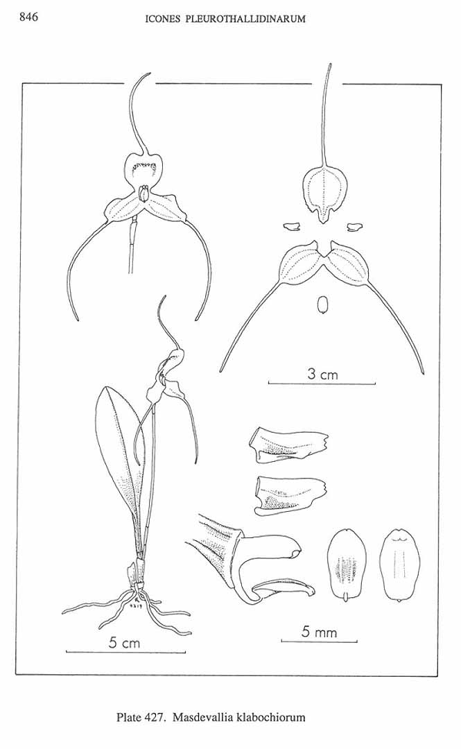 no HD illustration available (3)