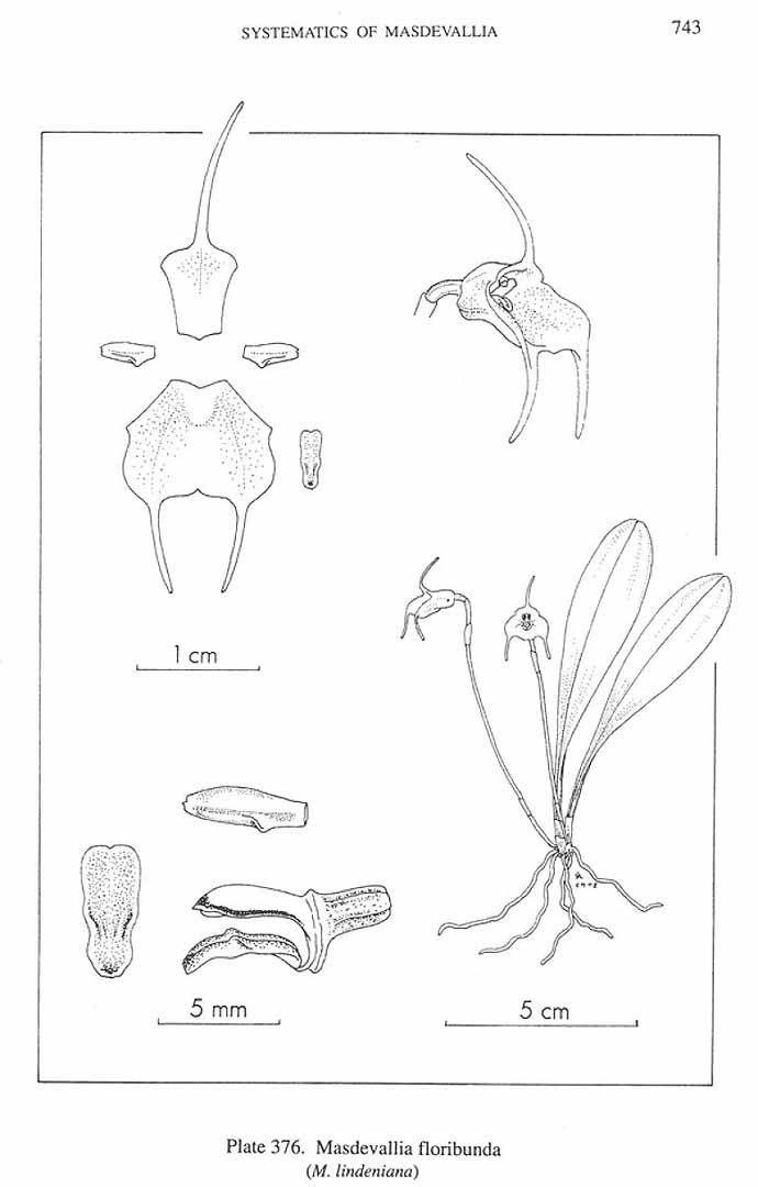 no HD illustration available (3)