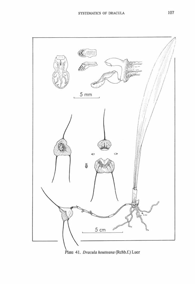 no HD illustration available (3)