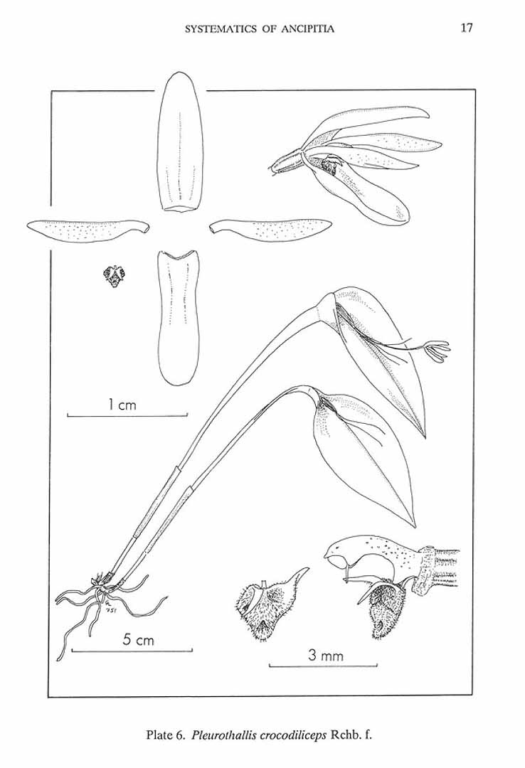 no HD illustration available (3)