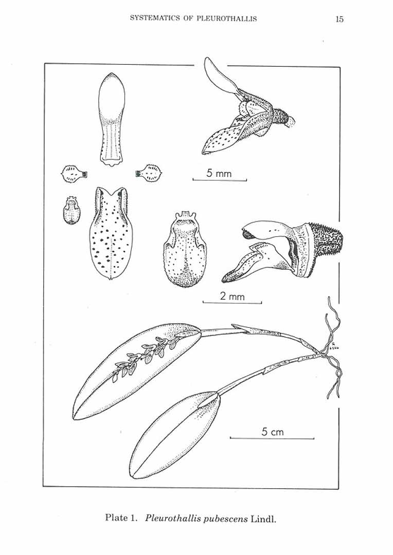 no HD illustration available (3)