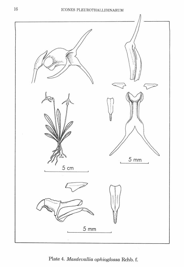no HD illustration available (3)