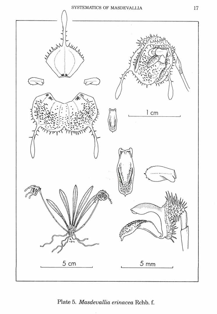 no HD illustration available (3)
