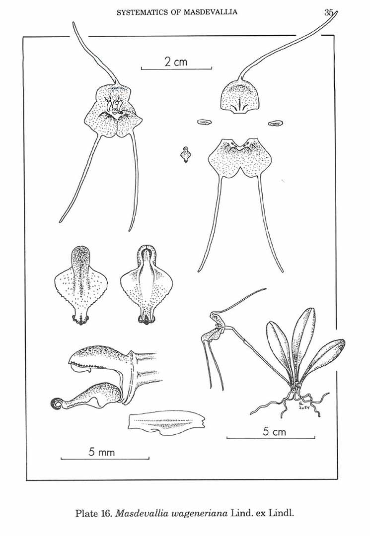 no HD illustration available (3)