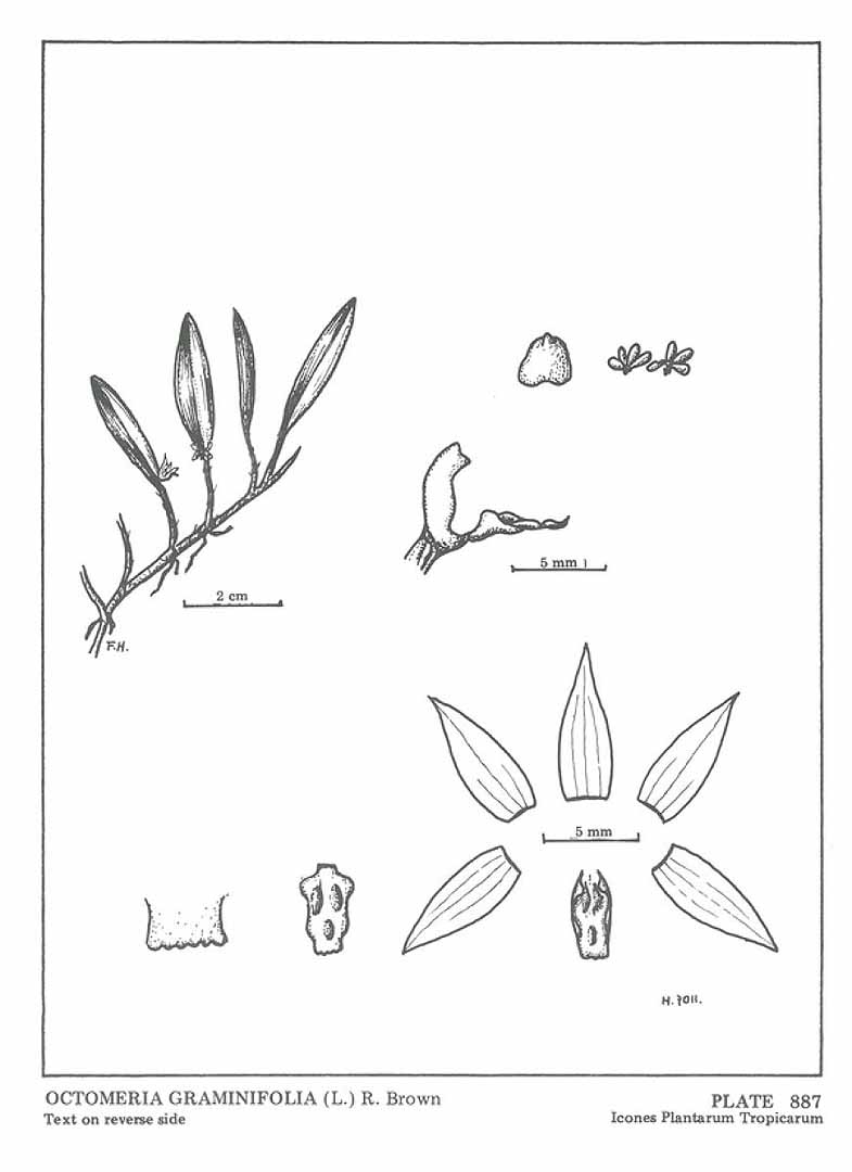no HD illustration available (3)