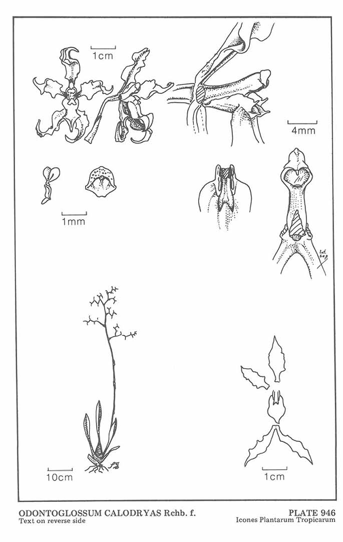 no HD illustration available (3)