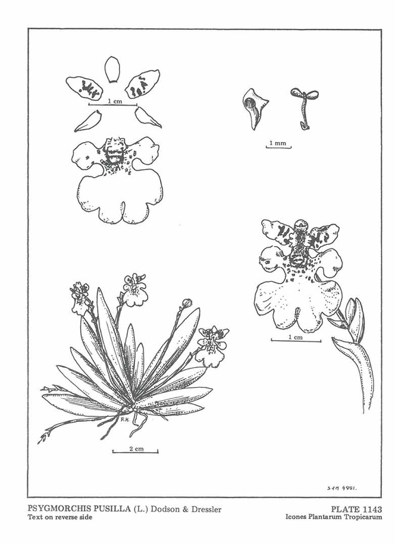 no HD illustration available (3)