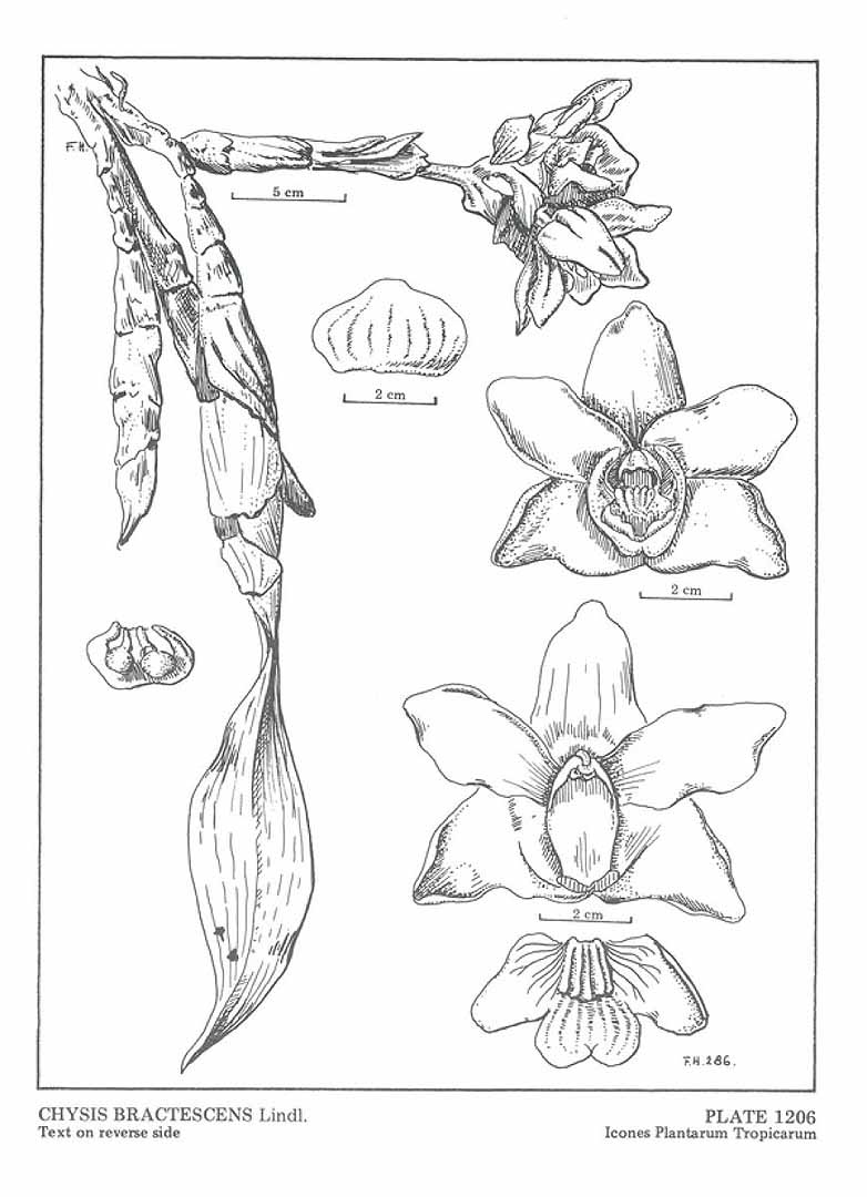 no HD illustration available (3)