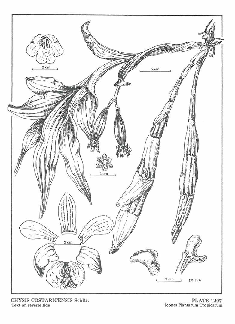 no HD illustration available (3)