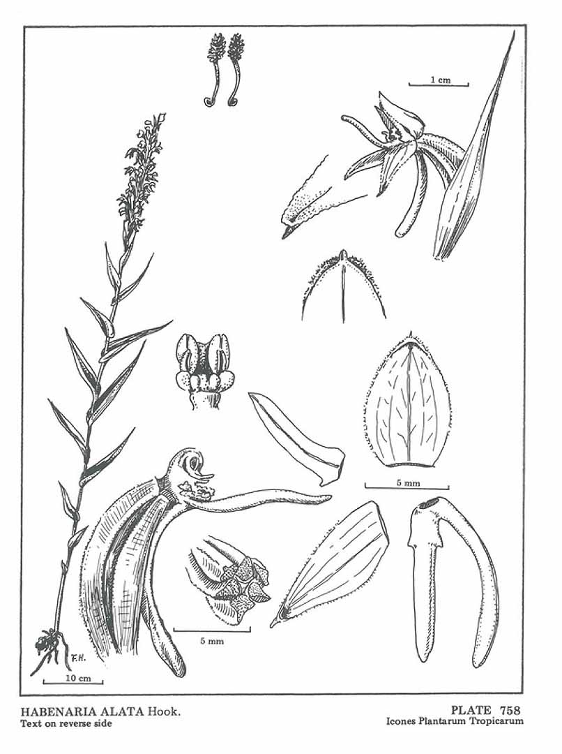 no HD illustration available (3)