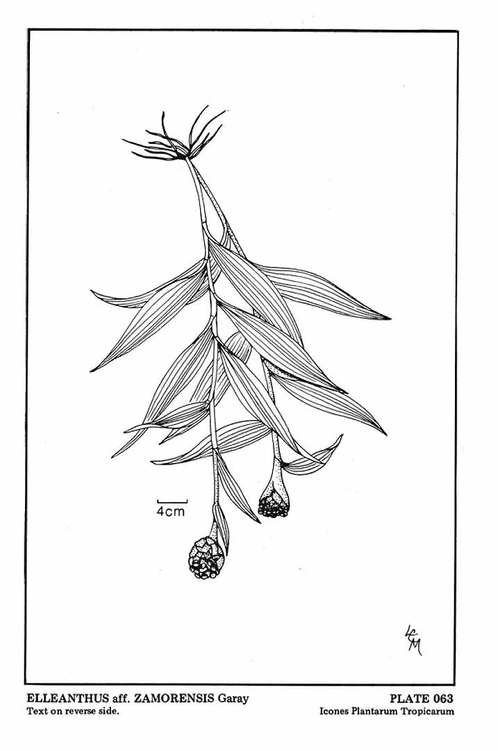 no HD illustration available (3)