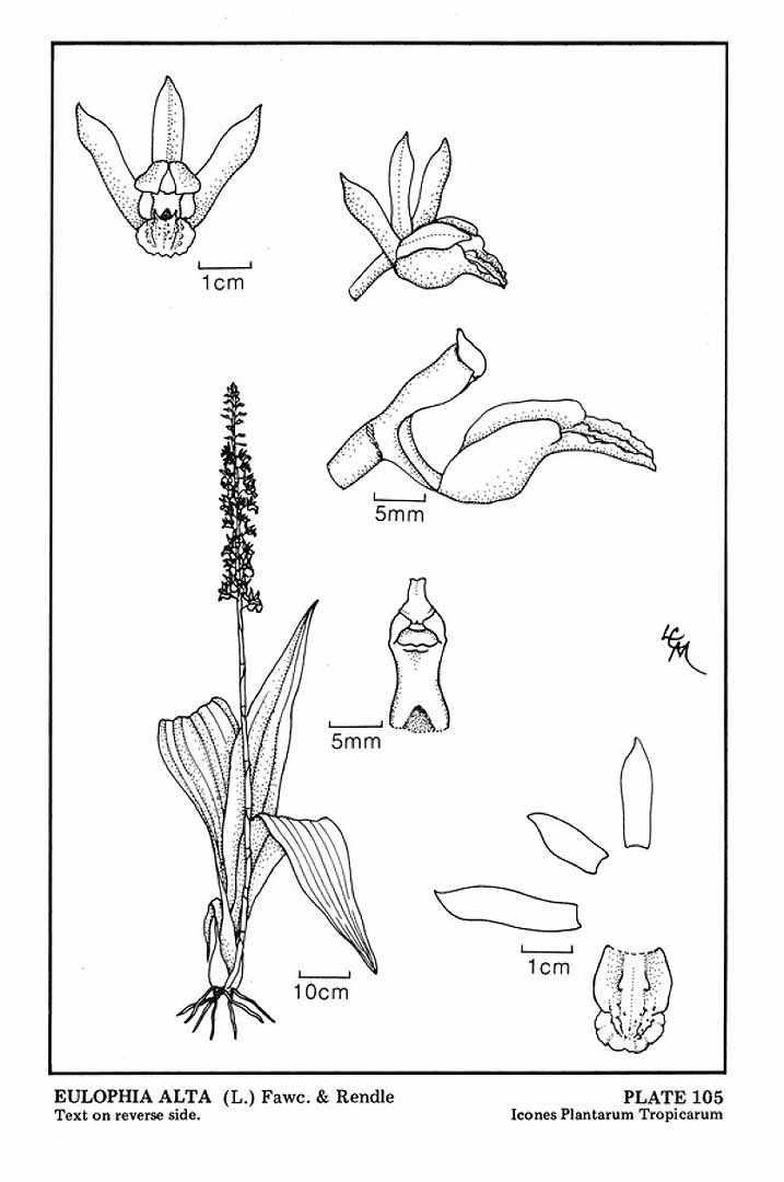 no HD illustration available (3)