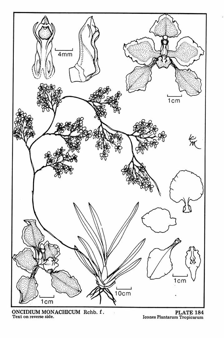 no HD illustration available (3)