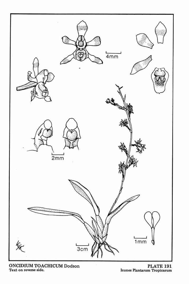 no HD illustration available (3)