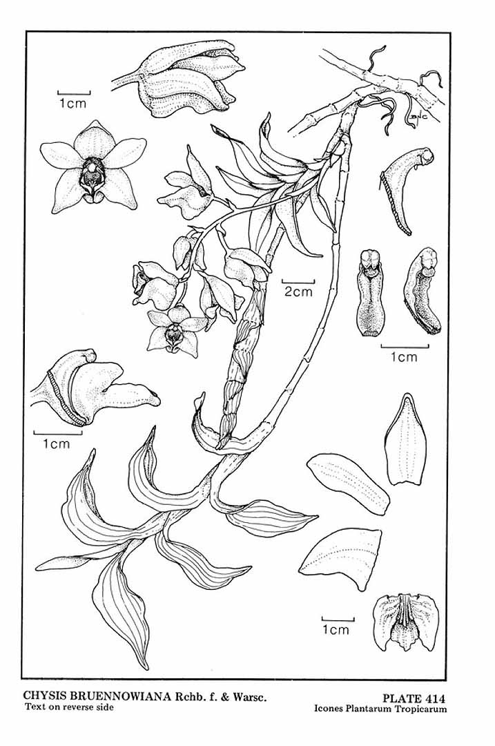 no HD illustration available (3)
