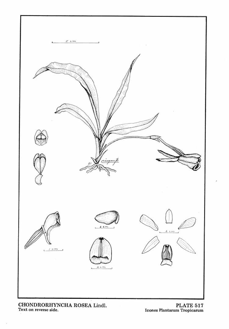 no HD illustration available (3)