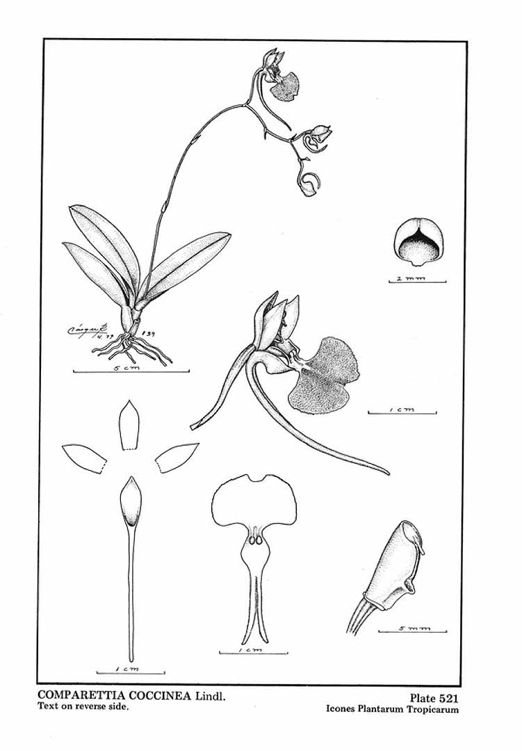 no HD illustration available (3)