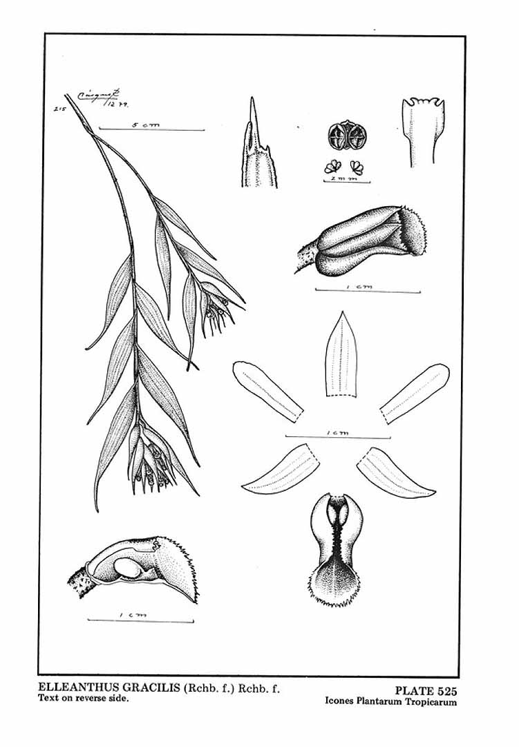 no HD illustration available (3)