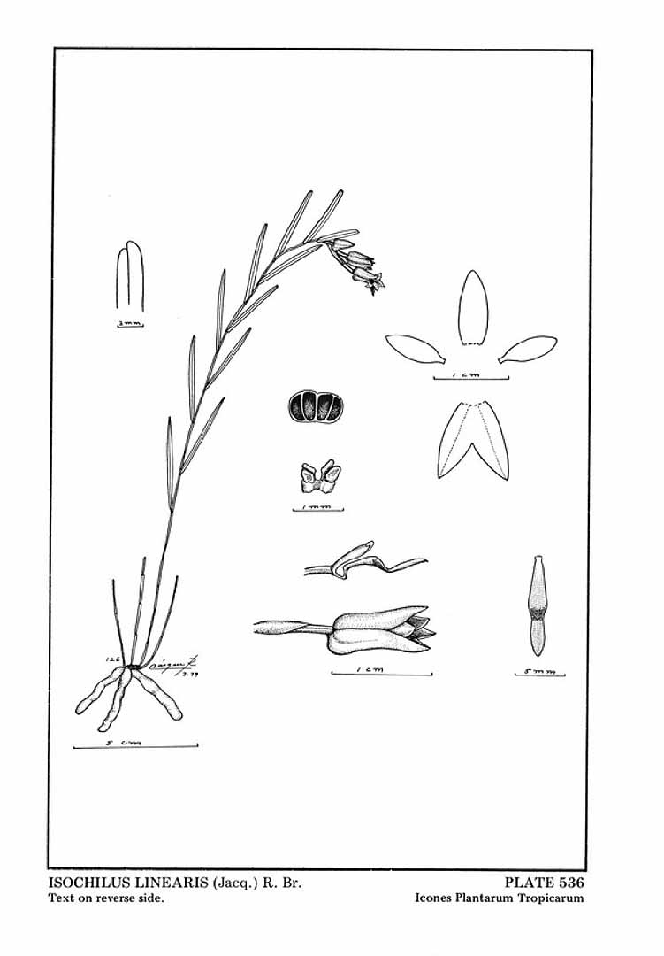 no HD illustration available (3)