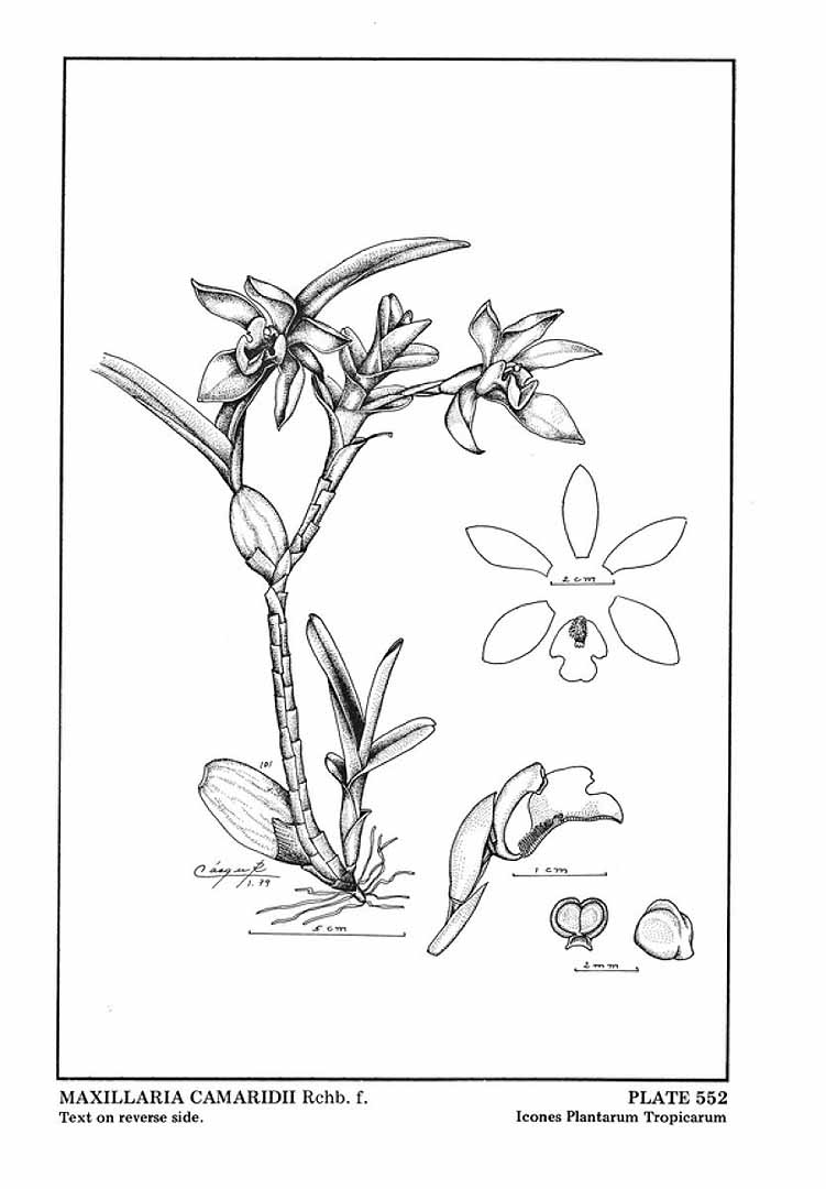 no HD illustration available (3)