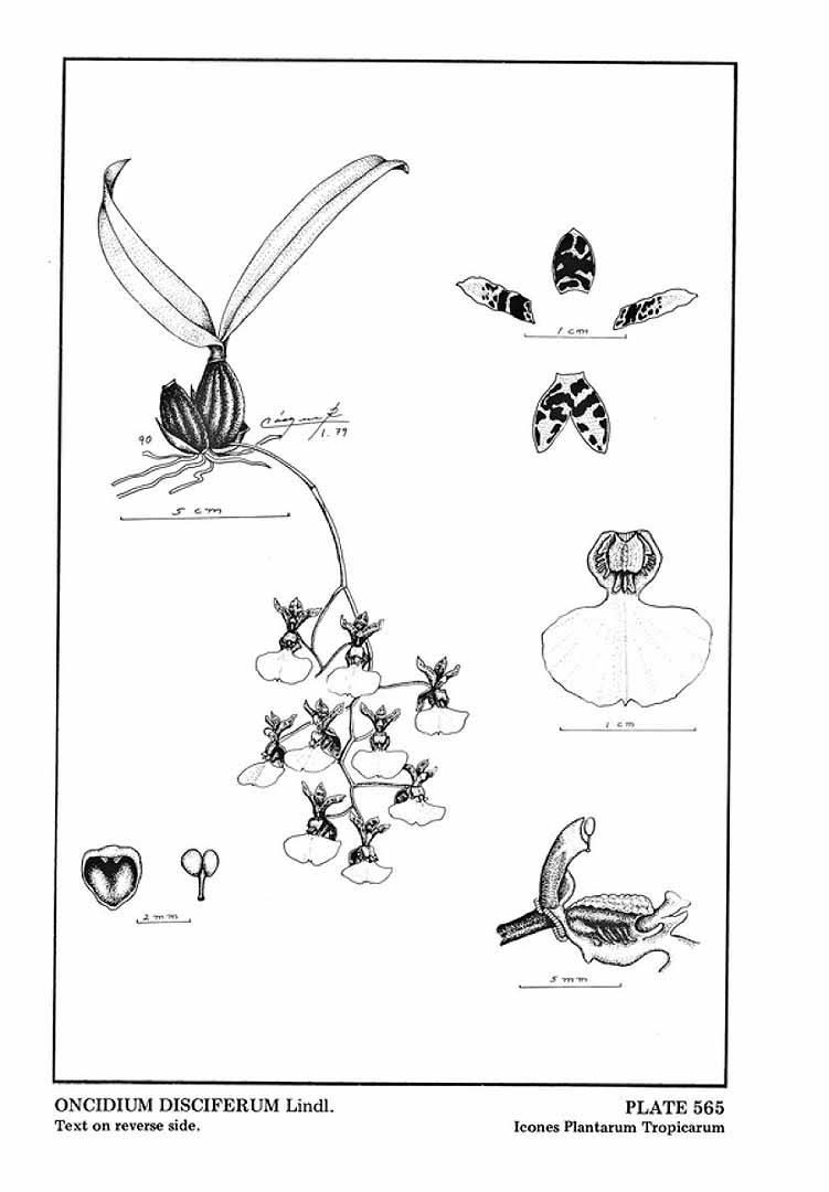 no HD illustration available (3)