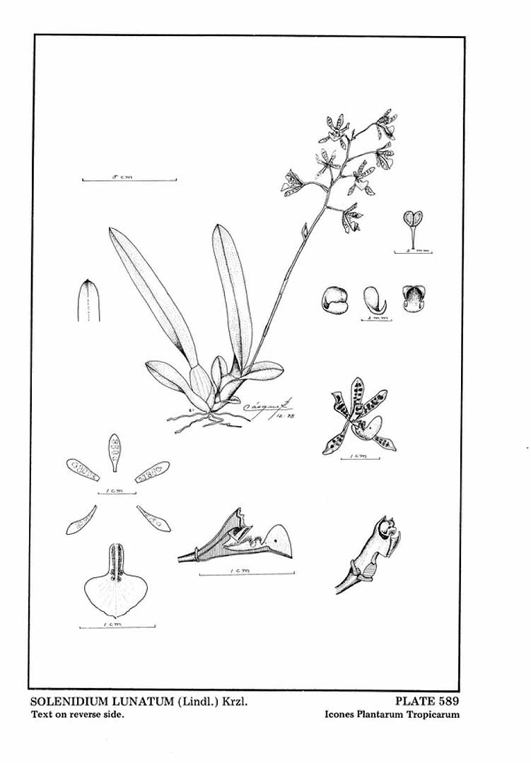 no HD illustration available (3)