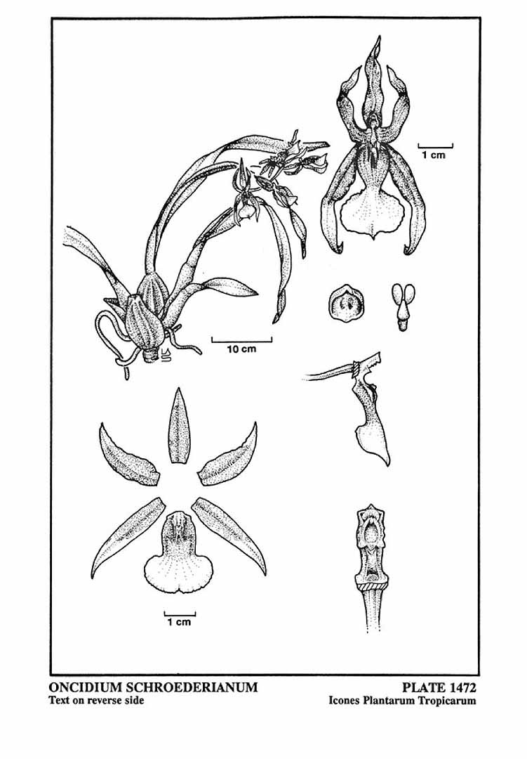 no HD illustration available (3)