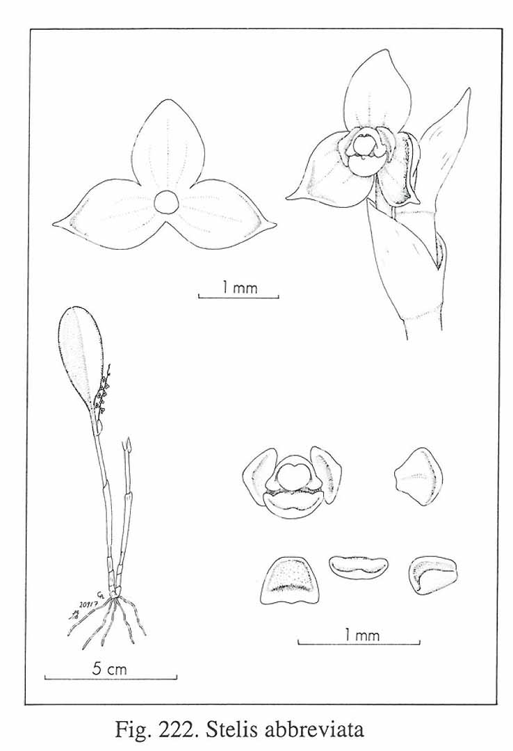 no HD illustration available (3)