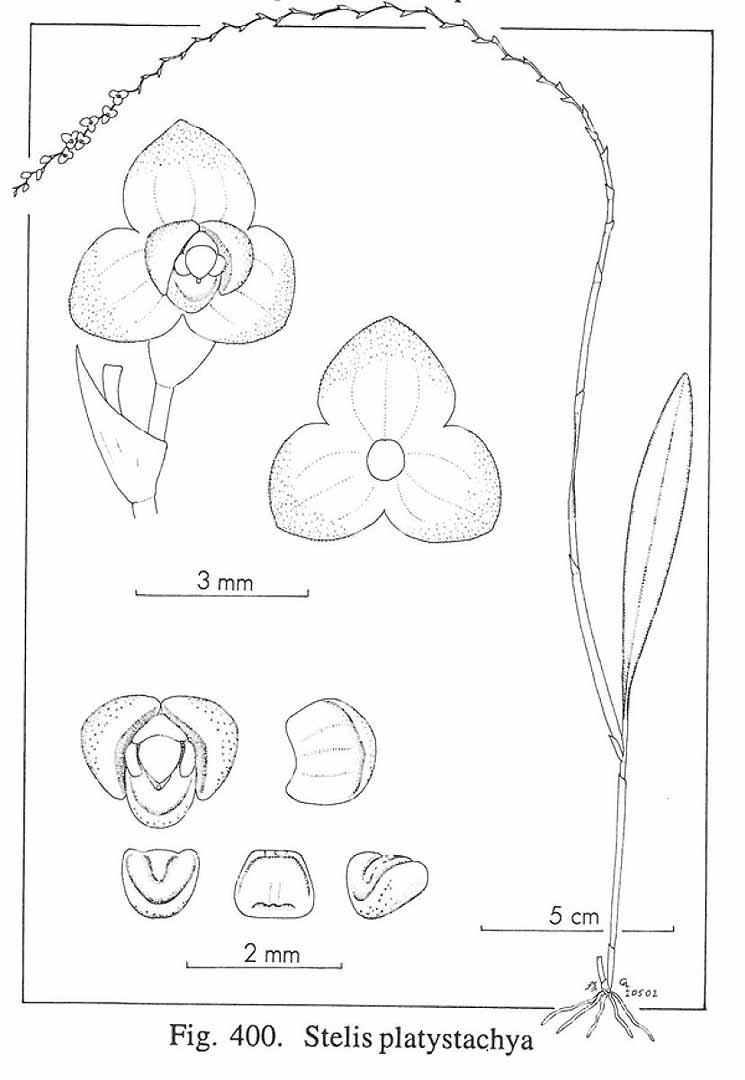 no HD illustration available (3)