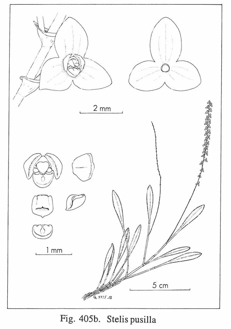 no HD illustration available (3)